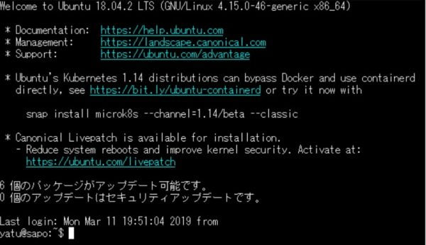 Ubuntu 18.04 LTS Server に OpenSSH で接続する方法